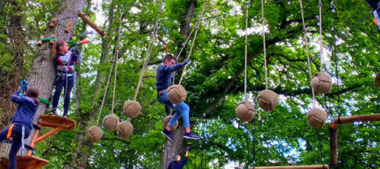 accrobranche au parc